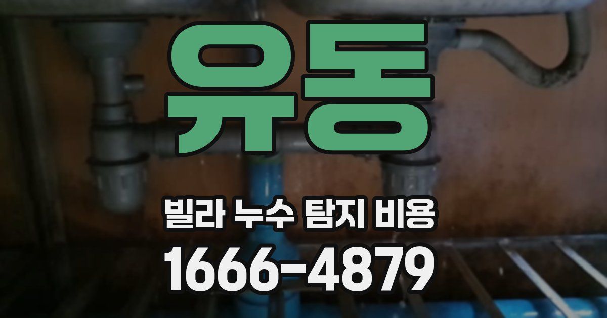 유동 빌라 누수 탐지 비용