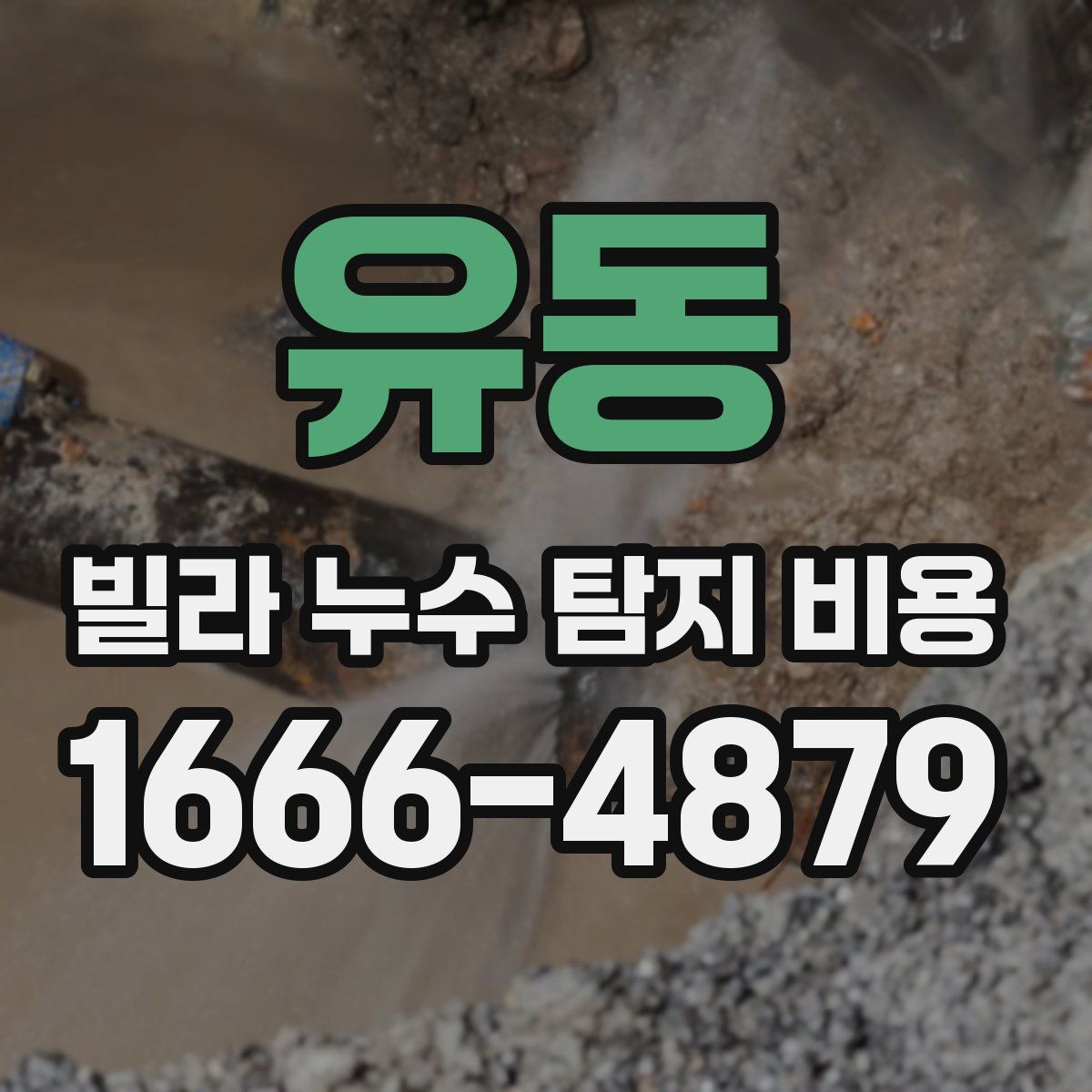 유동 빌라 누수 탐지 비용