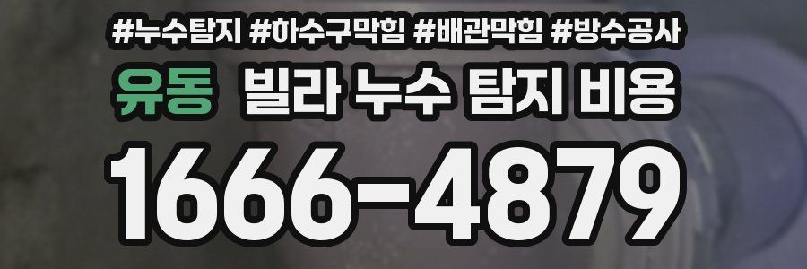유동 빌라 누수 탐지 비용