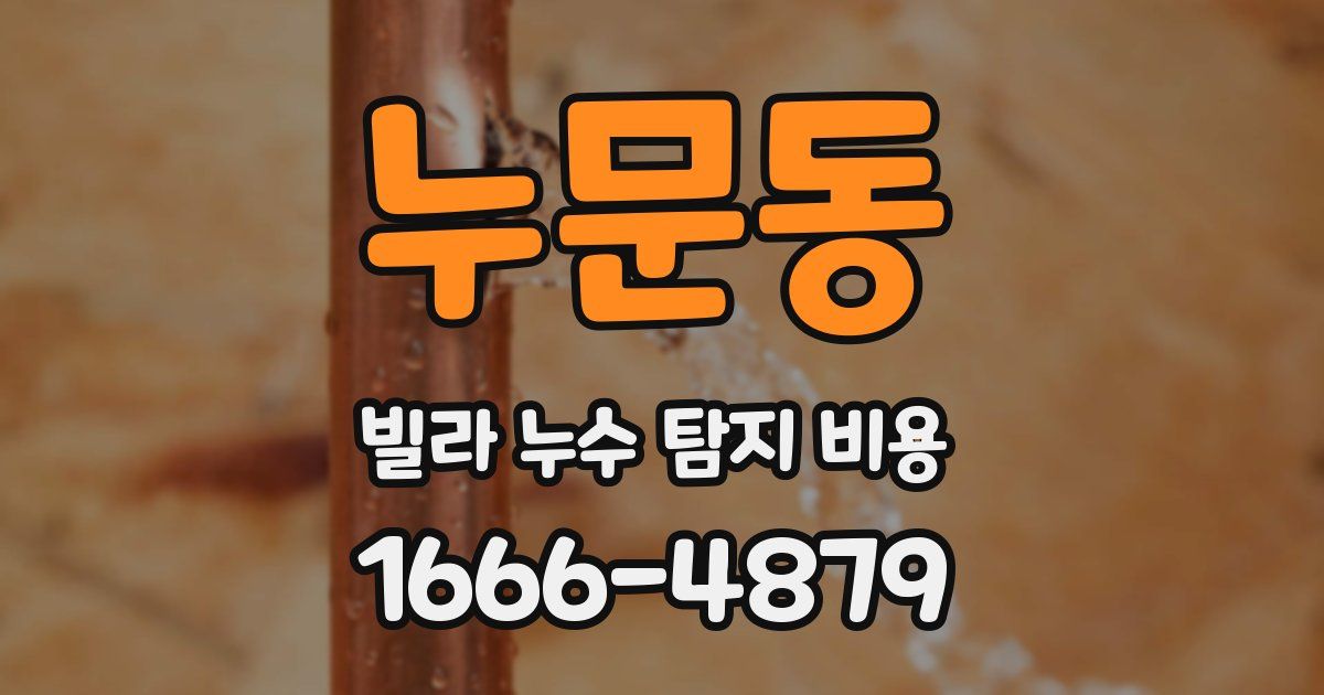 누문동 빌라 누수 탐지 비용