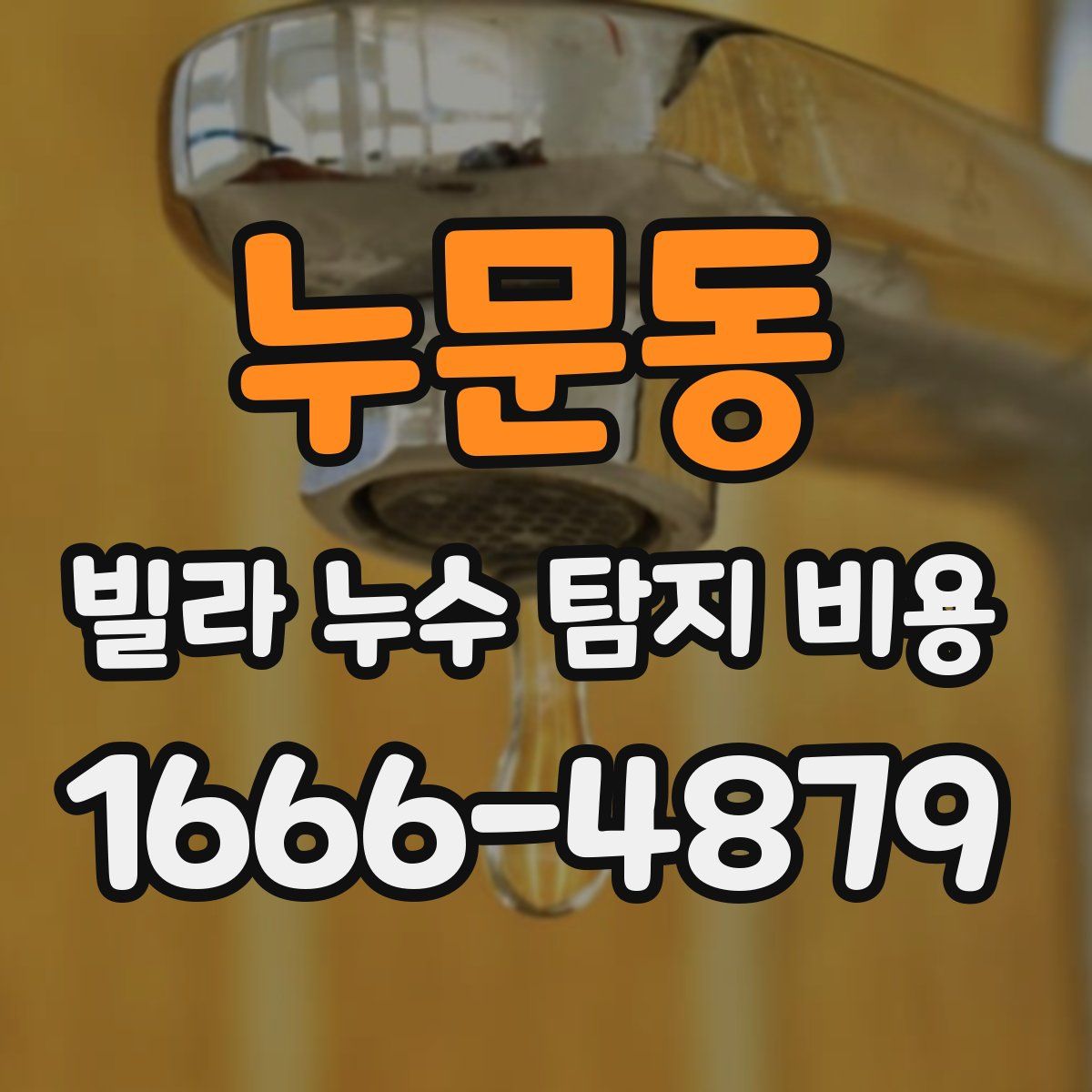누문동 빌라 누수 탐지 비용
