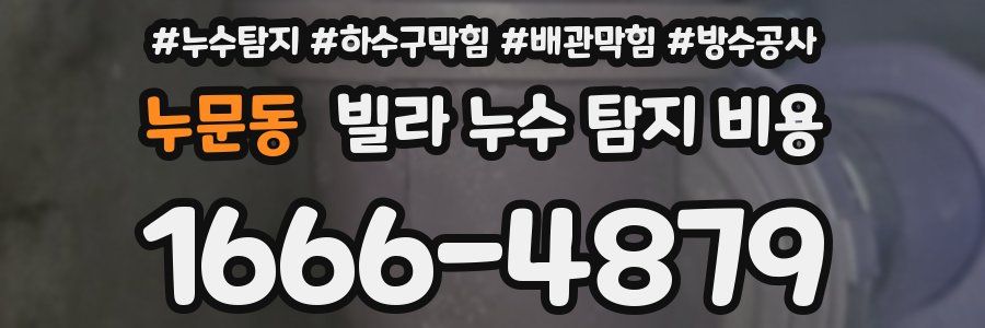 누문동 빌라 누수 탐지 비용