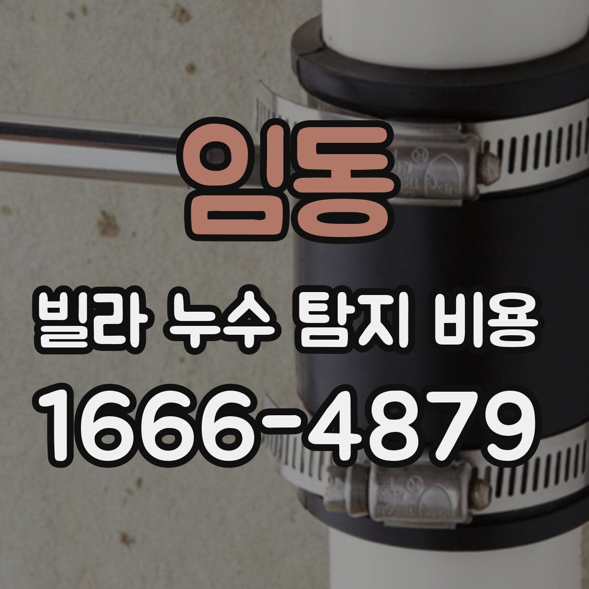 임동 빌라 누수 탐지 비용