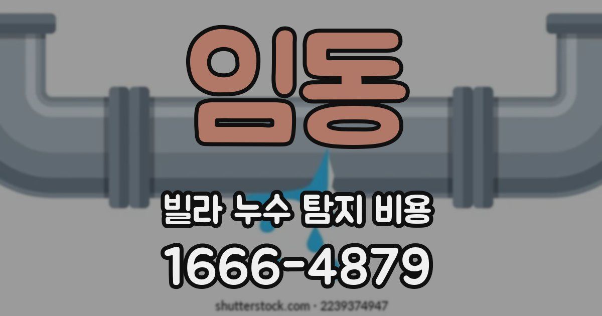 임동 빌라 누수 탐지 비용
