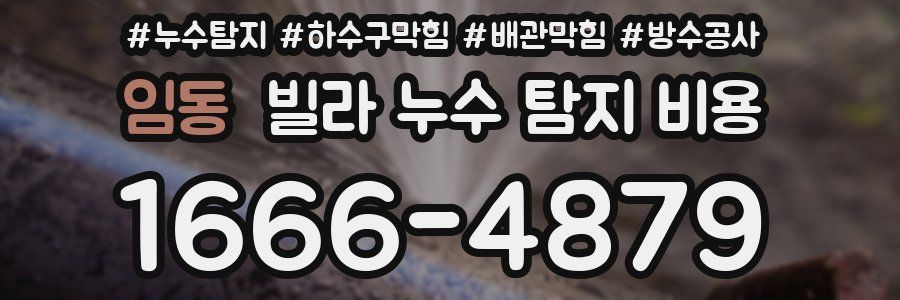 임동 빌라 누수 탐지 비용