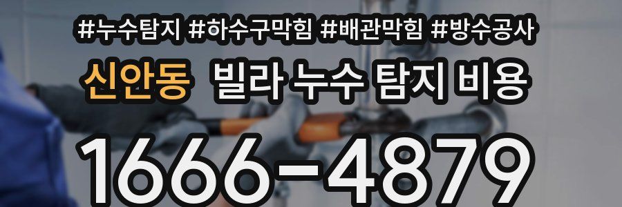 신안동 빌라 누수 탐지 비용
