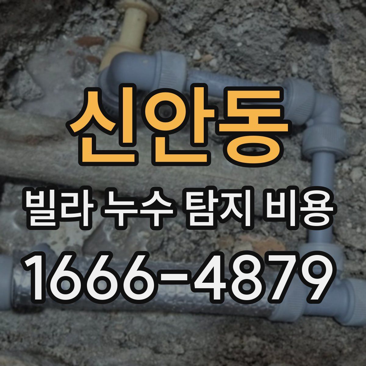 신안동 빌라 누수 탐지 비용