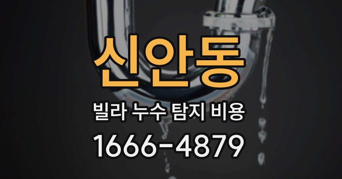 신안동 빌라 누수 탐지 비용