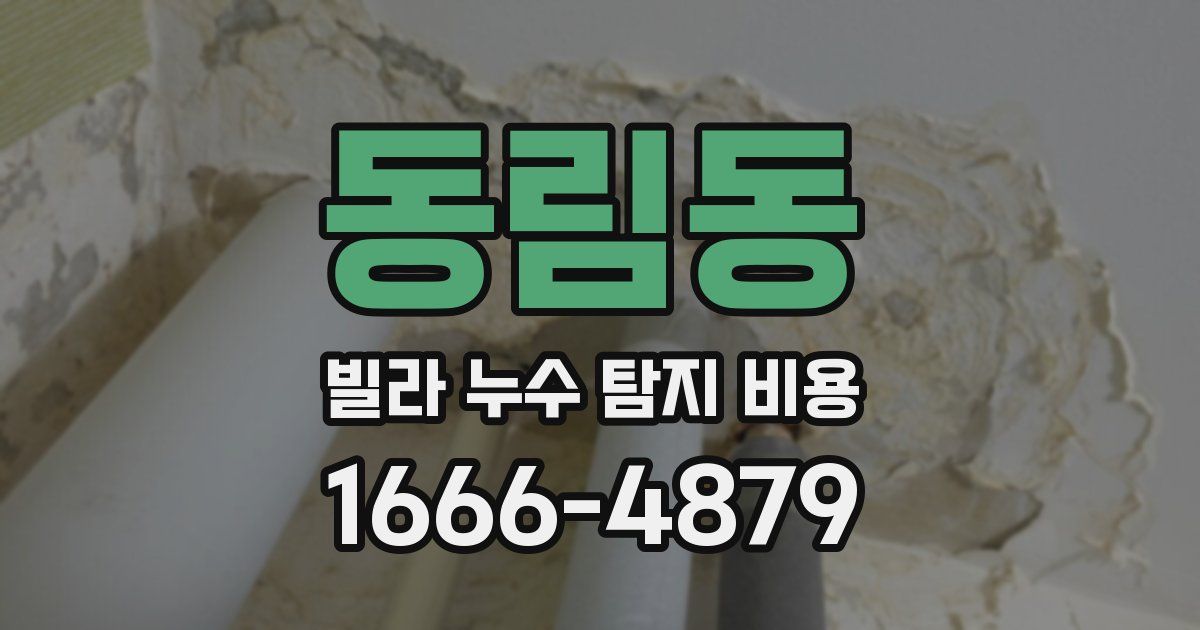 동림동 빌라 누수 탐지 비용