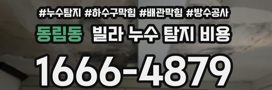 동림동 빌라 누수 탐지 비용