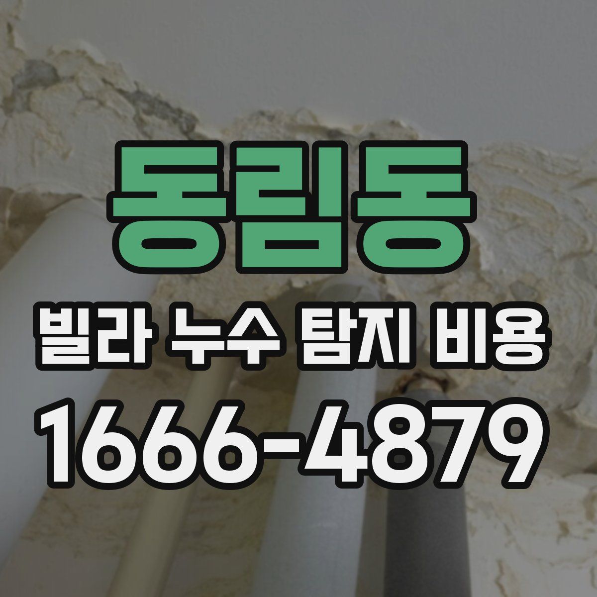 동림동 빌라 누수 탐지 비용