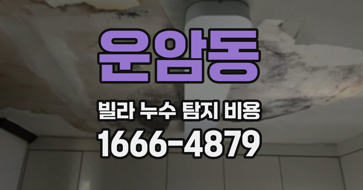 운암동 빌라 누수 탐지 비용