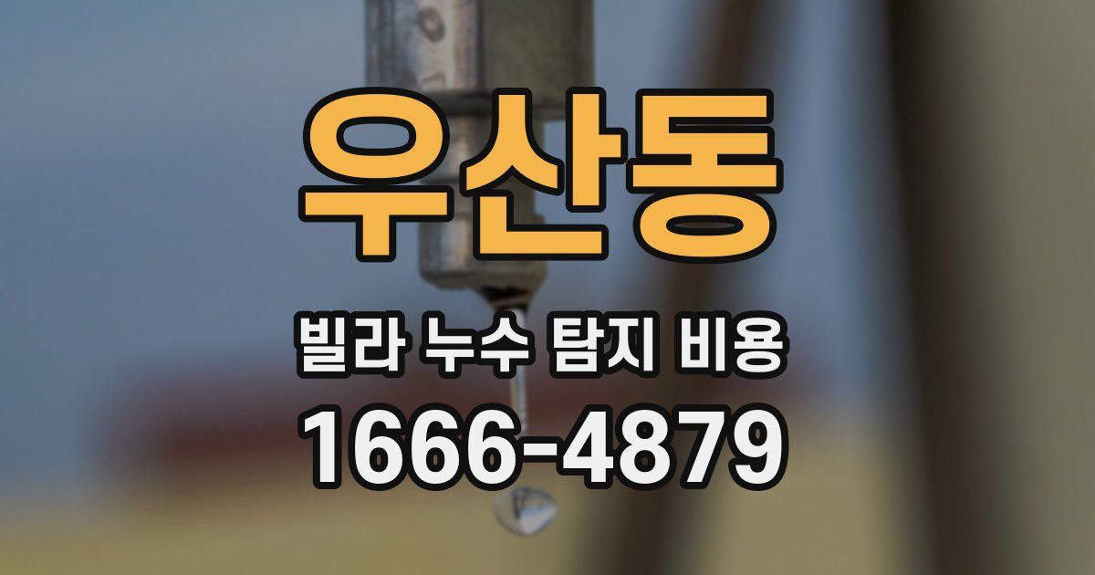 우산동 빌라 누수 탐지 비용