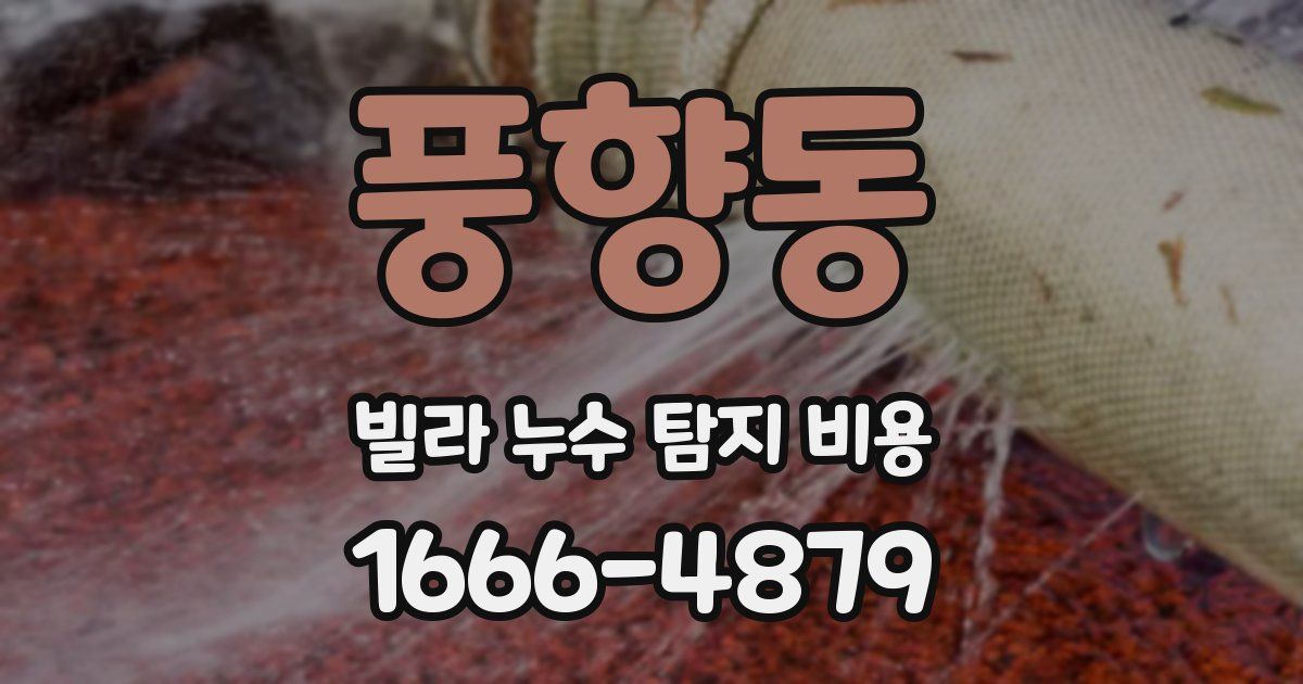 풍향동 빌라 누수 탐지 비용