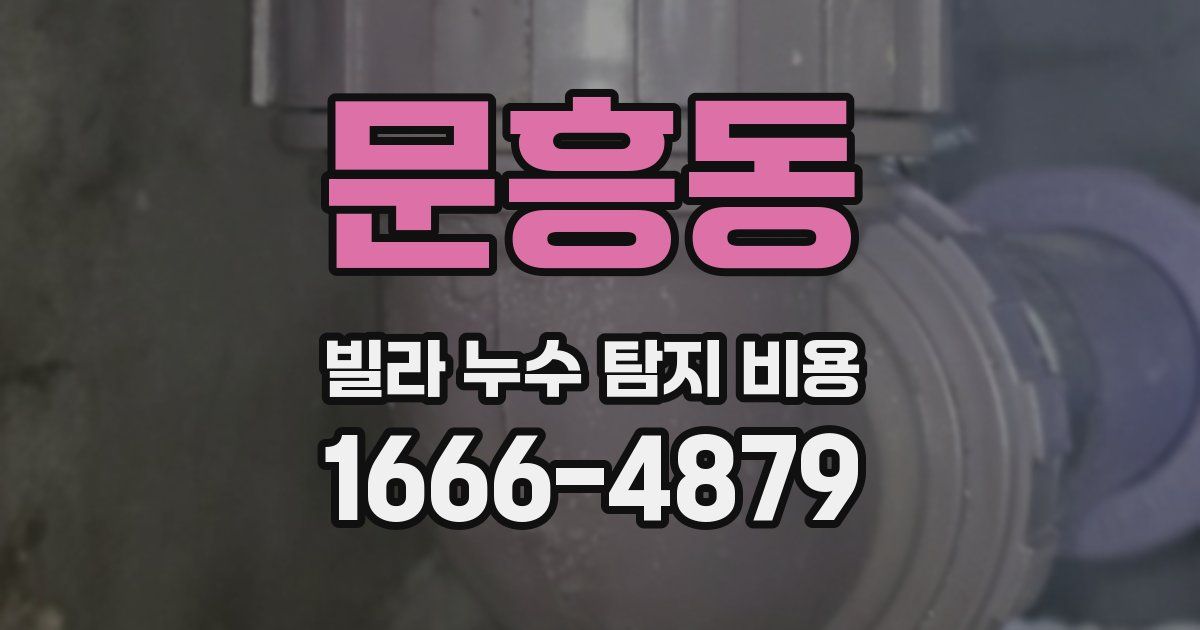 문흥동 빌라 누수 탐지 비용