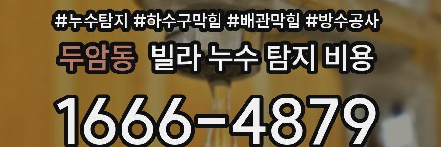 두암동 빌라 누수 탐지 비용