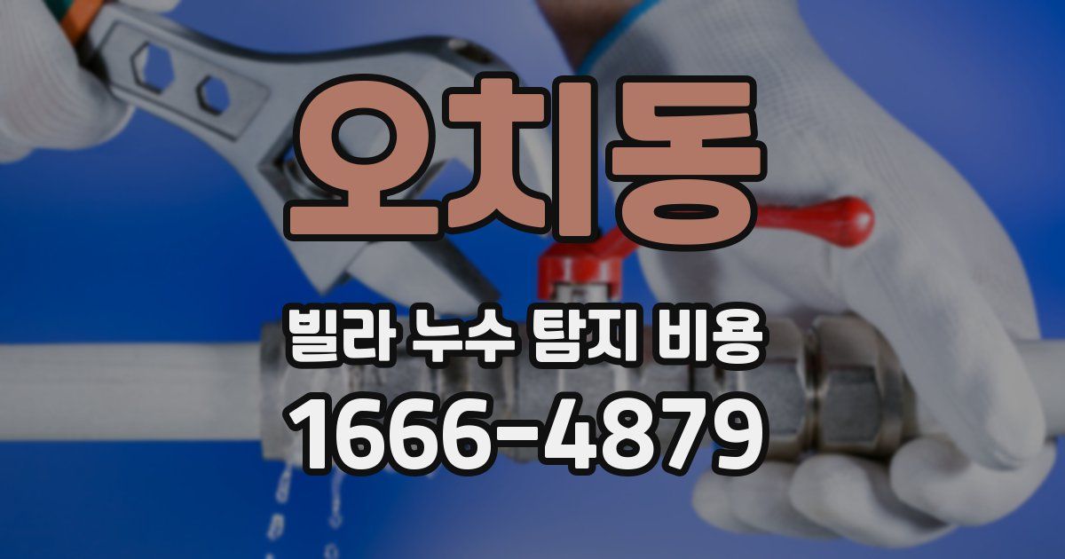 오치동 빌라 누수 탐지 비용