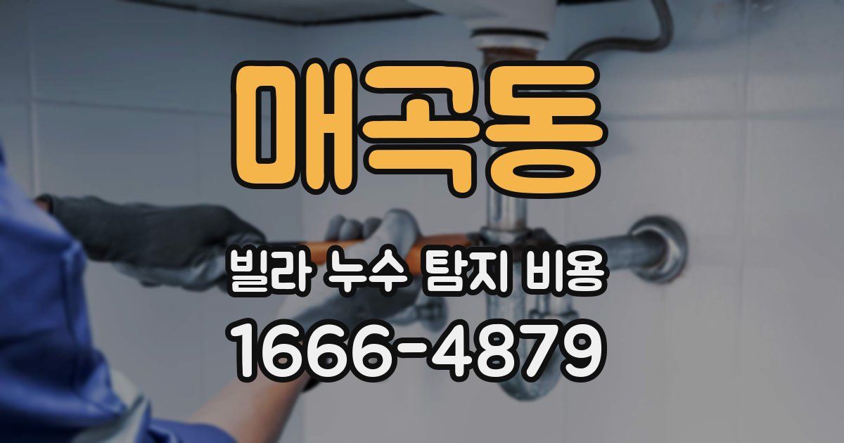 매곡동 빌라 누수 탐지 비용