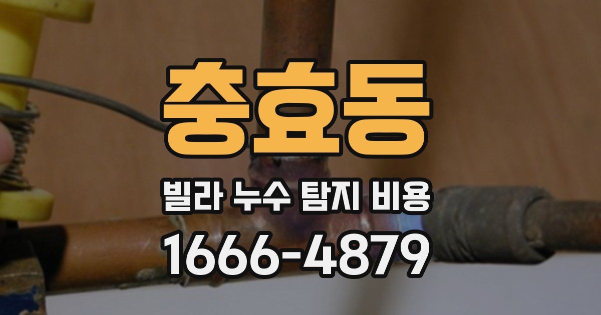 충효동 빌라 누수 탐지 비용