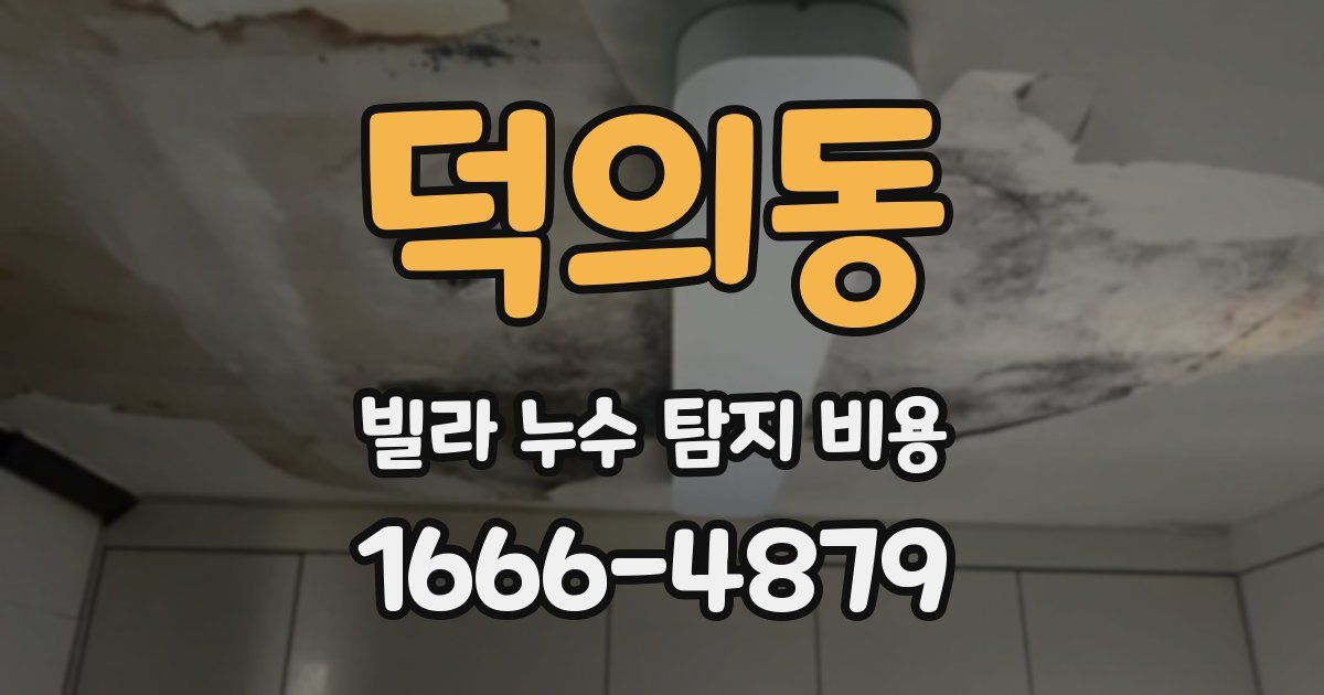 덕의동 빌라 누수 탐지 비용