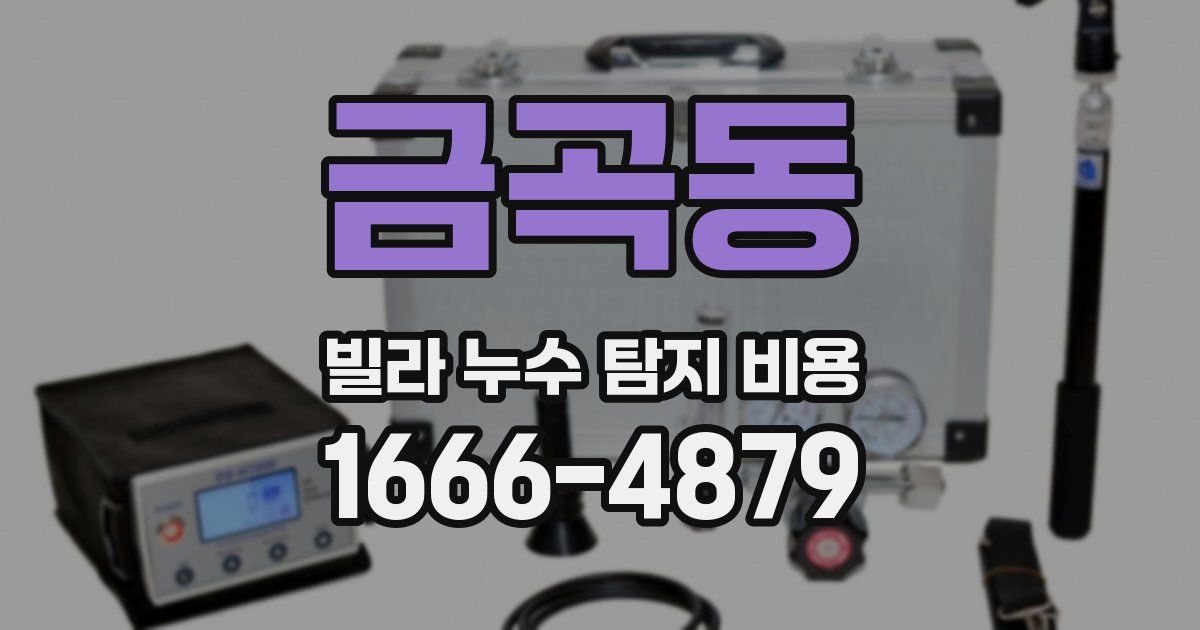 금곡동 빌라 누수 탐지 비용