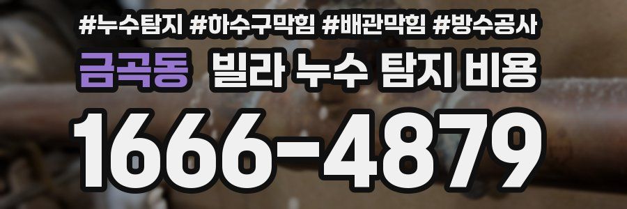 금곡동 빌라 누수 탐지 비용