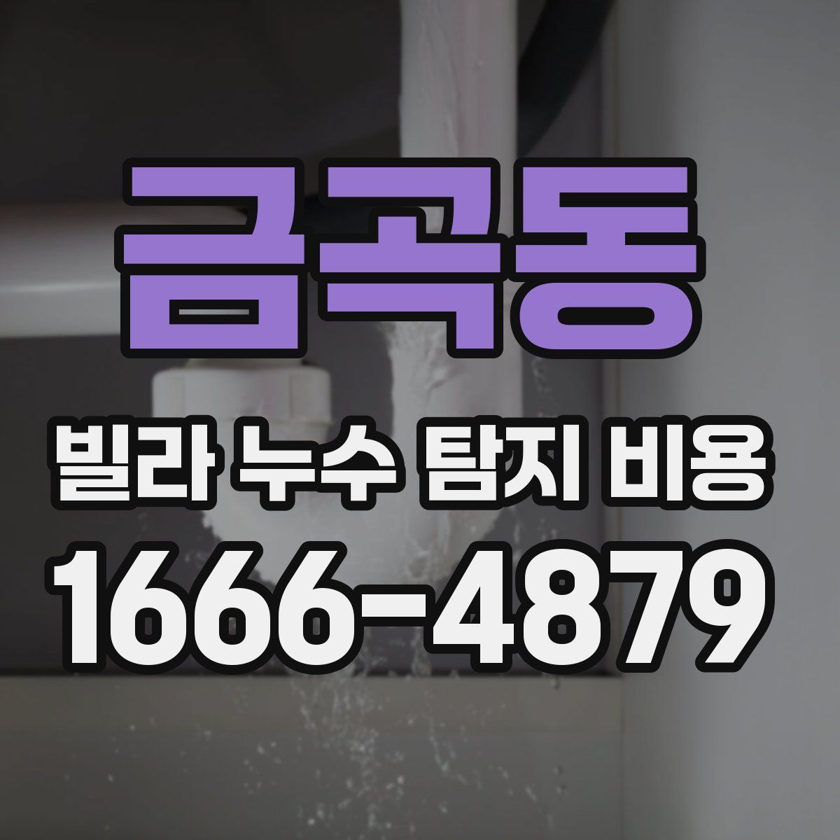 금곡동 빌라 누수 탐지 비용