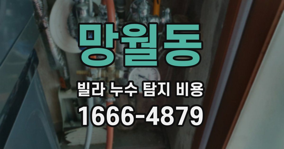 망월동 빌라 누수 탐지 비용
