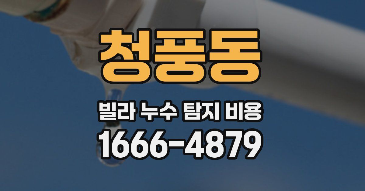 청풍동 빌라 누수 탐지 비용