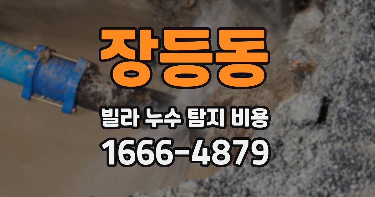 장등동 빌라 누수 탐지 비용