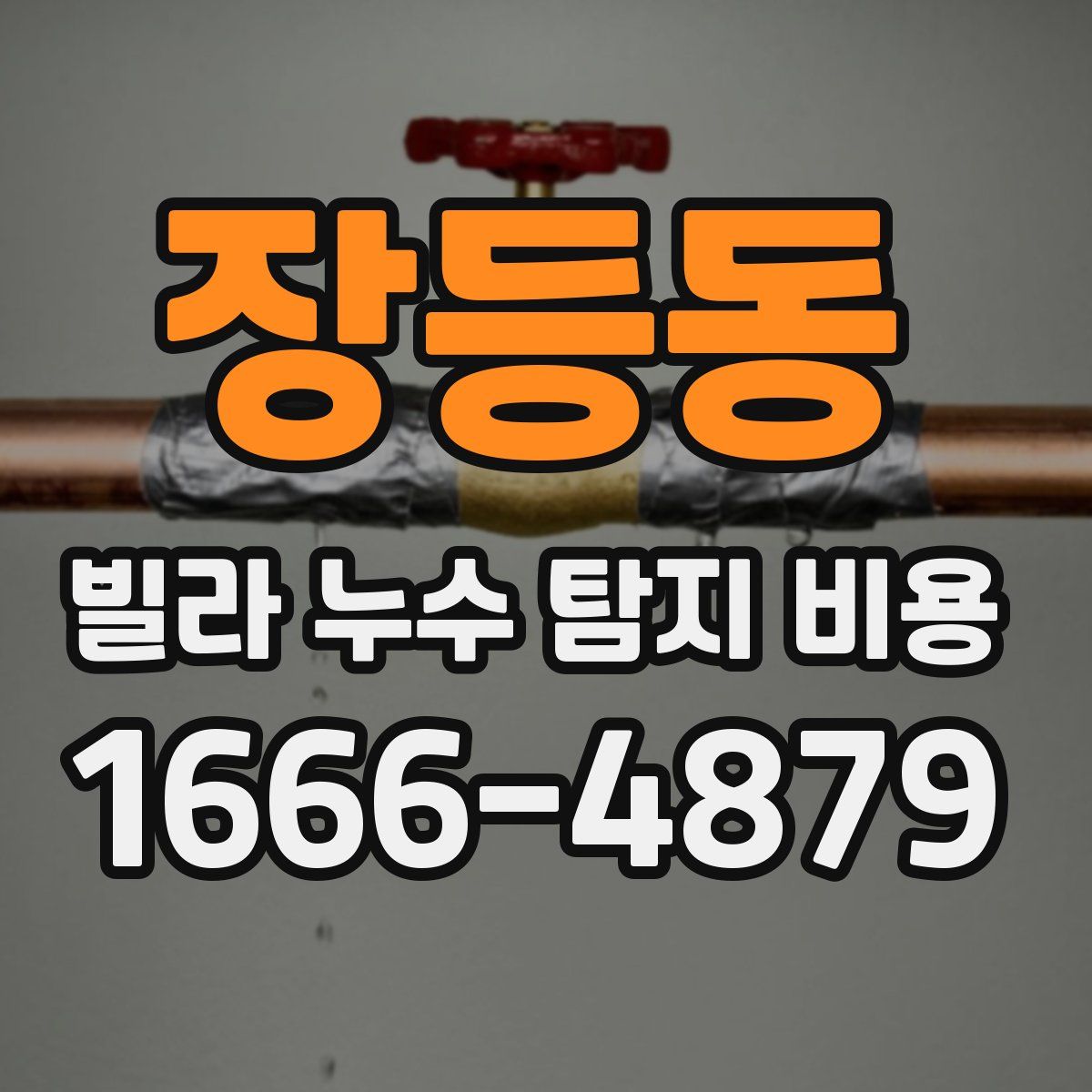 장등동 빌라 누수 탐지 비용