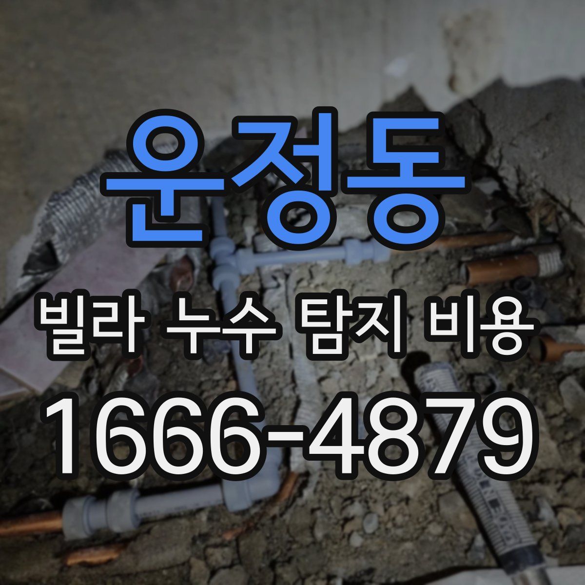 운정동 빌라 누수 탐지 비용