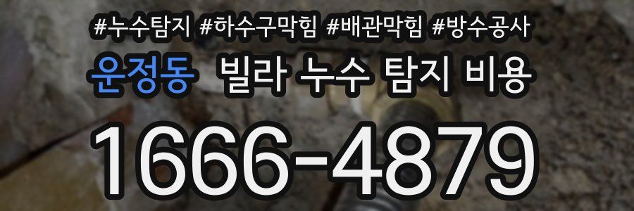 운정동 빌라 누수 탐지 비용