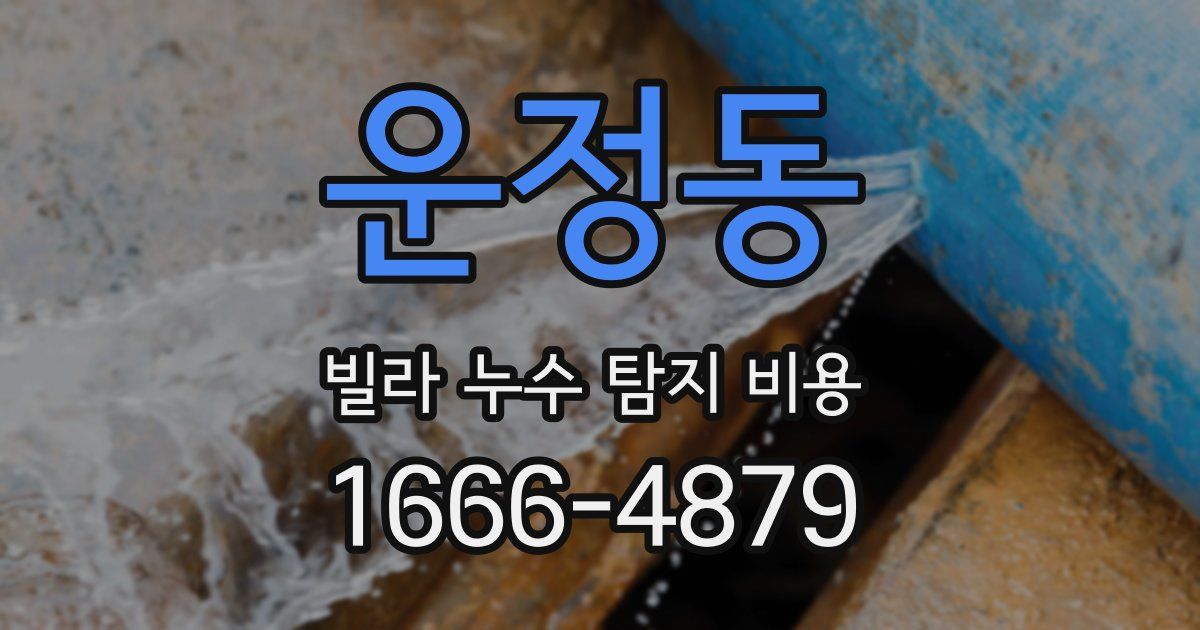 운정동 빌라 누수 탐지 비용