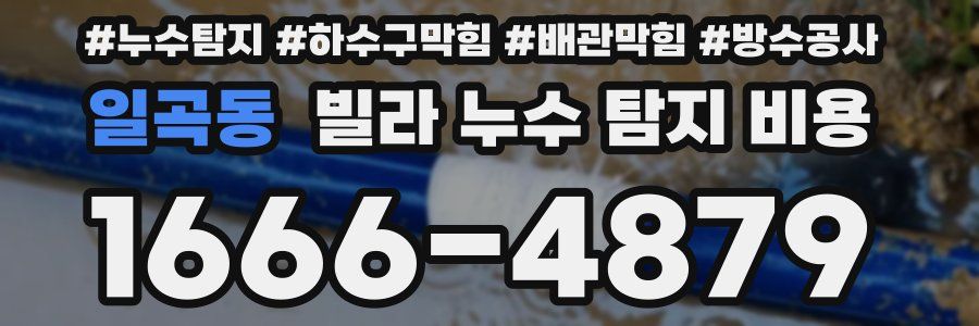 일곡동 빌라 누수 탐지 비용