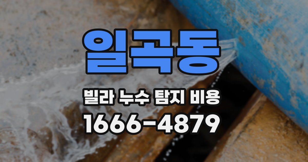일곡동 빌라 누수 탐지 비용