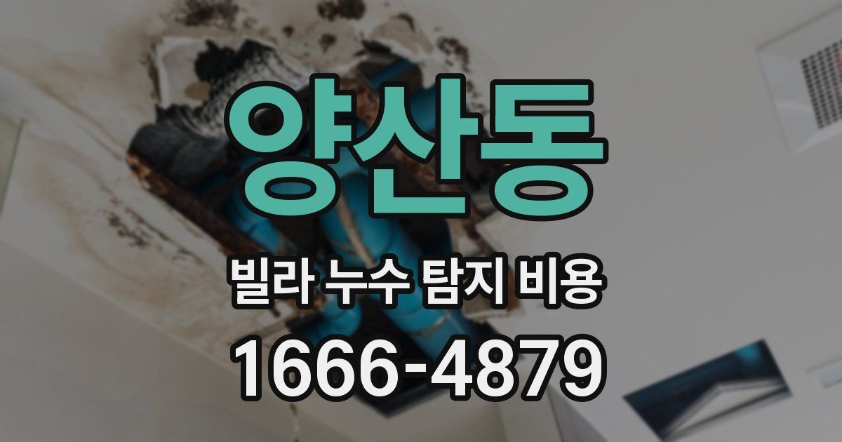양산동 빌라 누수 탐지 비용