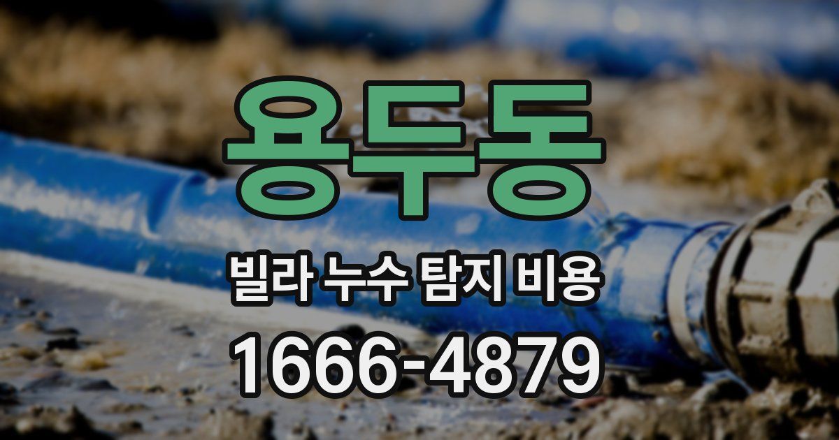 용두동 빌라 누수 탐지 비용