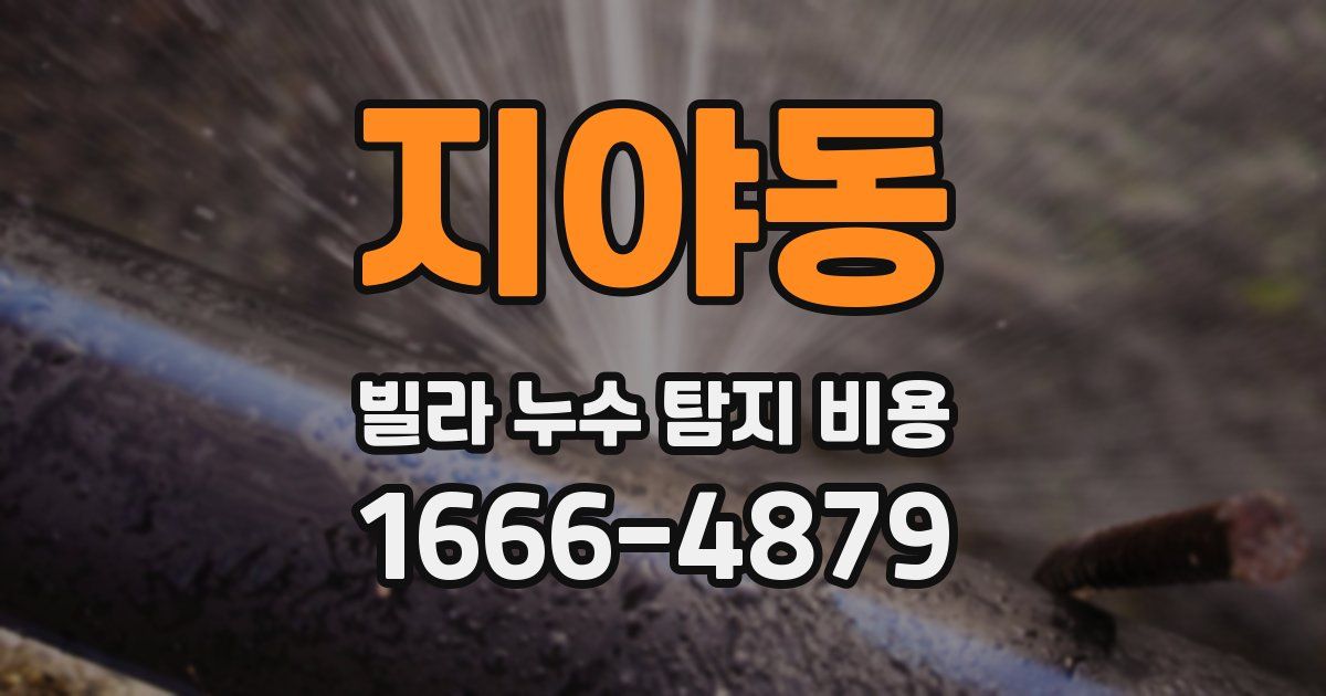지야동 빌라 누수 탐지 비용