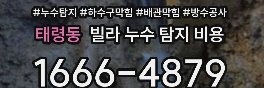 태령동 빌라 누수 탐지 비용