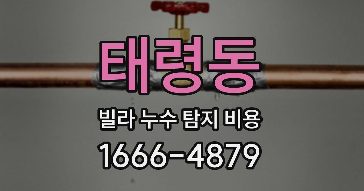 태령동 빌라 누수 탐지 비용