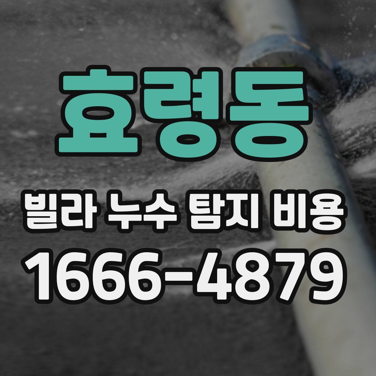 효령동 빌라 누수 탐지 비용