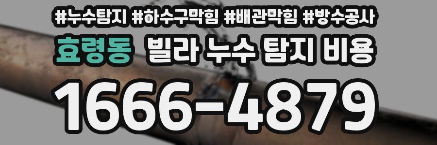 효령동 빌라 누수 탐지 비용