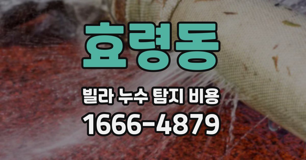 효령동 빌라 누수 탐지 비용