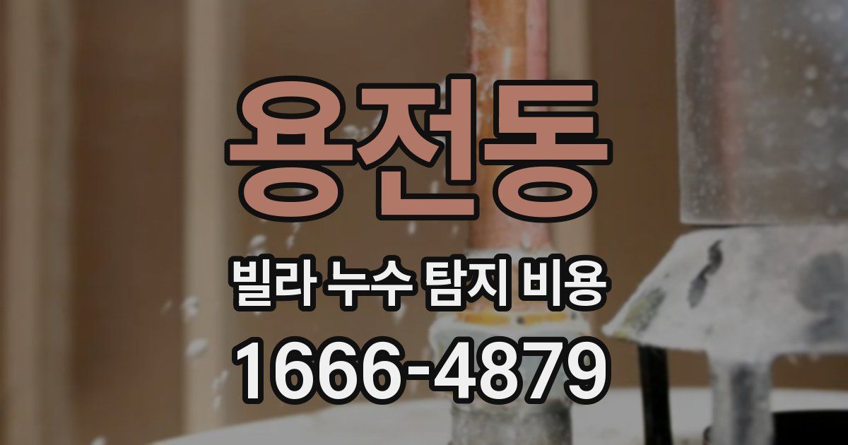 용전동 빌라 누수 탐지 비용