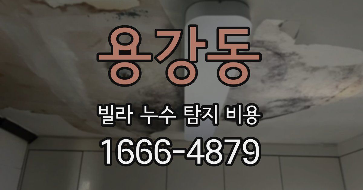 용강동 빌라 누수 탐지 비용