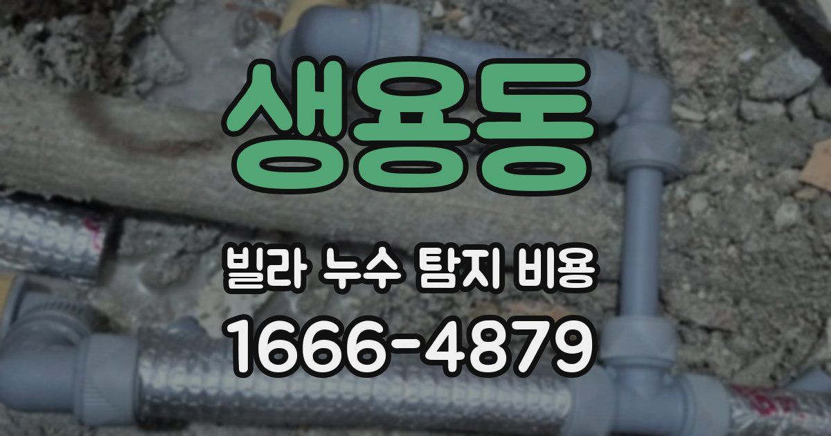 생용동 빌라 누수 탐지 비용