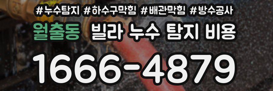 월출동 빌라 누수 탐지 비용