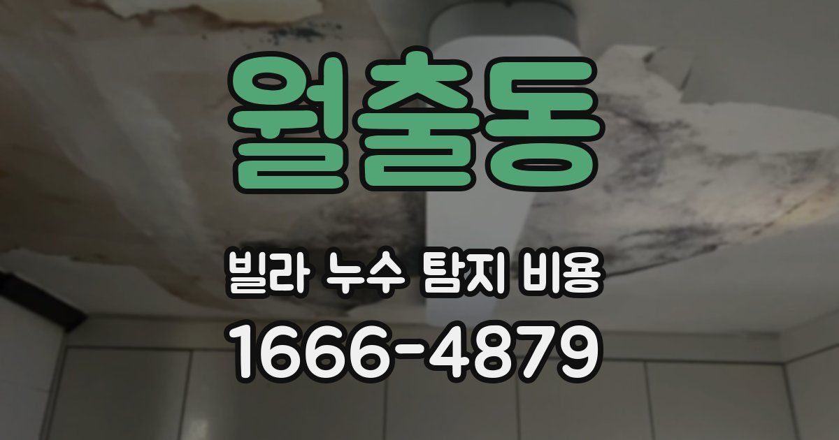 월출동 빌라 누수 탐지 비용
