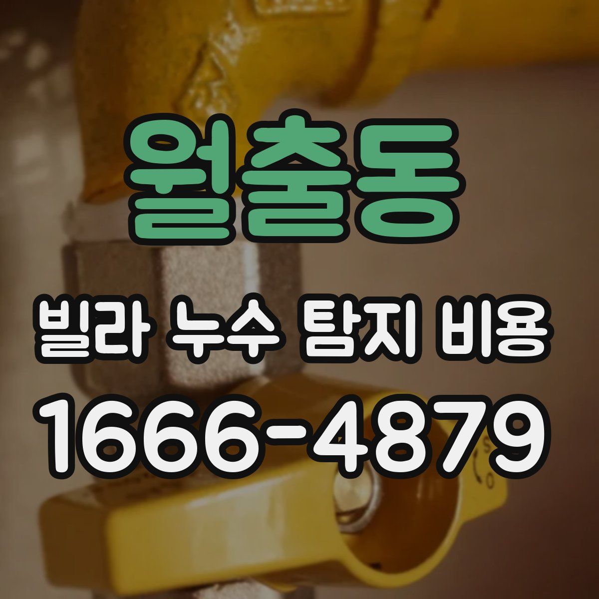 월출동 빌라 누수 탐지 비용